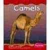 Camel_book